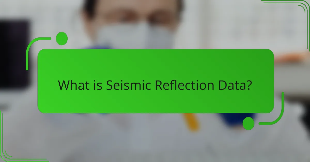 What is Seismic Reflection Data?